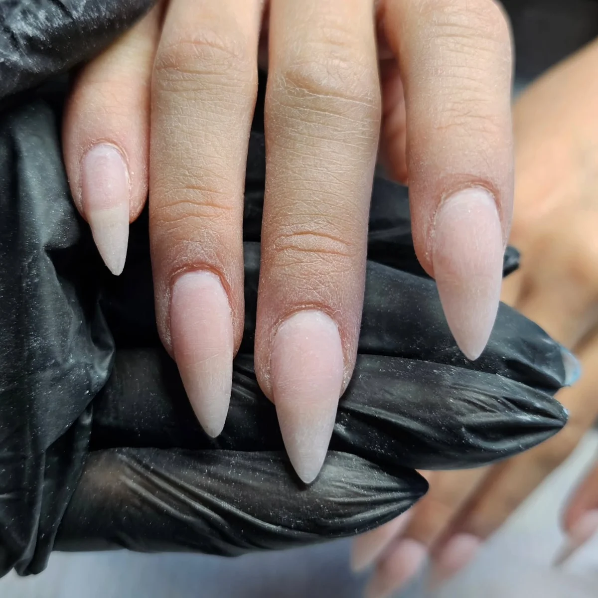 Long pointed pale pink nails with subtle white tips
